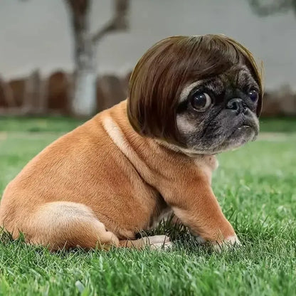 Adorable Appearance Pet Short Hair Wig Headband - Cute and Playful All Seasons Fun Accessory for Dogs & Cats, Valentine's Day Gift