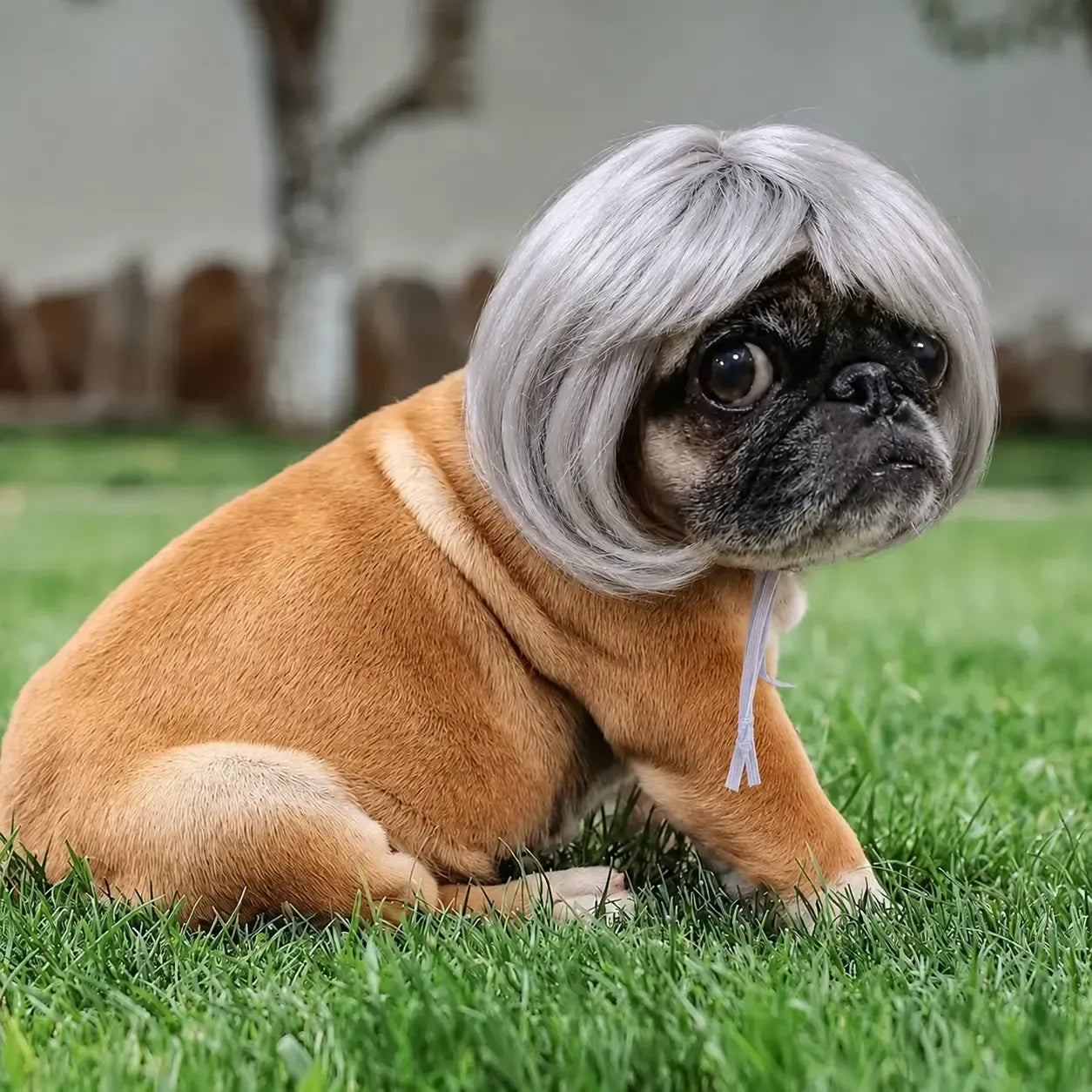 Adorable Appearance Pet Short Hair Wig Headband - Cute and Playful All Seasons Fun Accessory for Dogs & Cats, Valentine's Day Gift