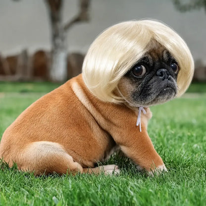 Adorable Appearance Pet Short Hair Wig Headband - Cute and Playful All Seasons Fun Accessory for Dogs & Cats, Valentine's Day Gift