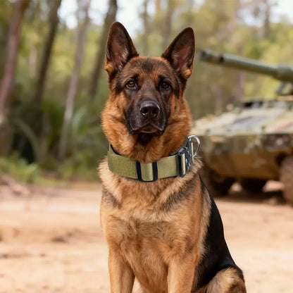 Adjustable Fit Dog Collar for Medium to Large Dogs, German Shepherd Accessories, High-Strength Metal Buckle, Tactical Training Collar, Durable Material Pet Accessory
