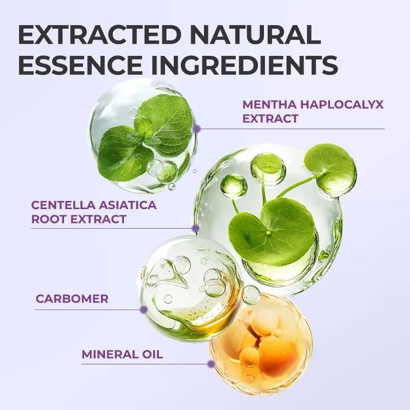 Hemorrhoid Gel Carthamus Seed Scutellaria Baicalensis Extract Carboxymethylcellulose Purple Daisy Apply to the Skin Used for Eliminating Hemorrhoids