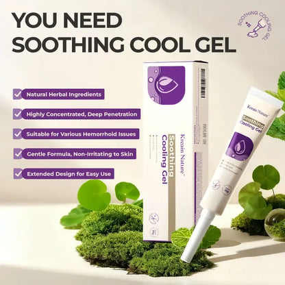 Hemorrhoid Gel Carthamus Seed Scutellaria Baicalensis Extract Carboxymethylcellulose Purple Daisy Apply to the Skin Used for Eliminating Hemorrhoids