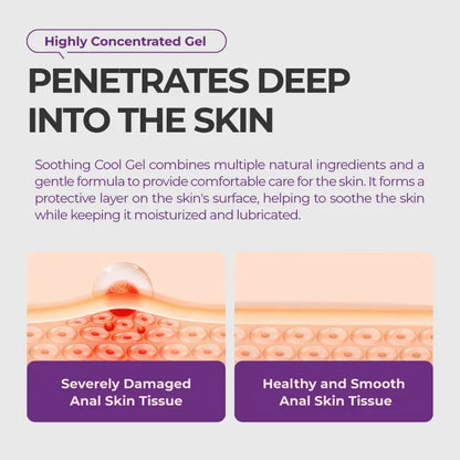 Hemorrhoid Gel Carthamus Seed Scutellaria Baicalensis Extract Carboxymethylcellulose Purple Daisy Apply to the Skin Used for Eliminating Hemorrhoids