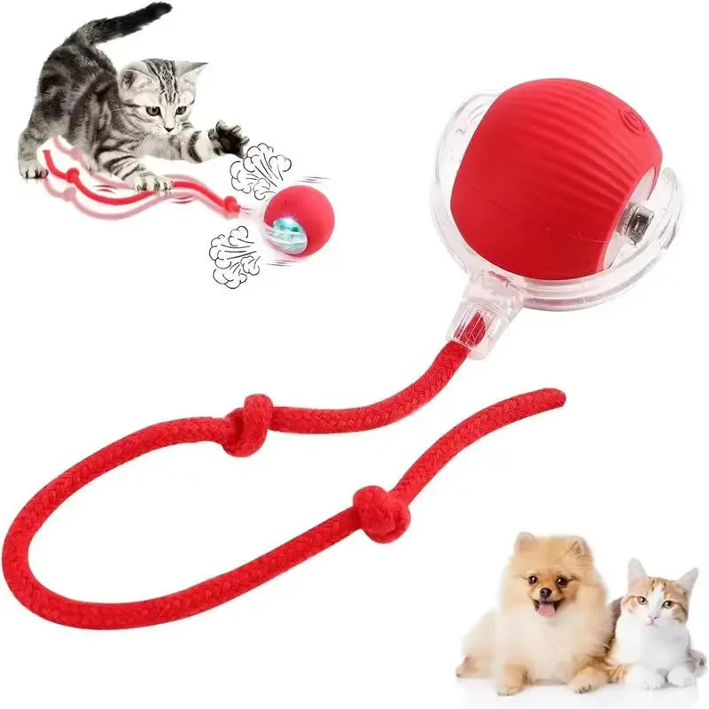 Electric Rolling Cat Ball Toy with Rope, Interactive Cat Teaser Toy