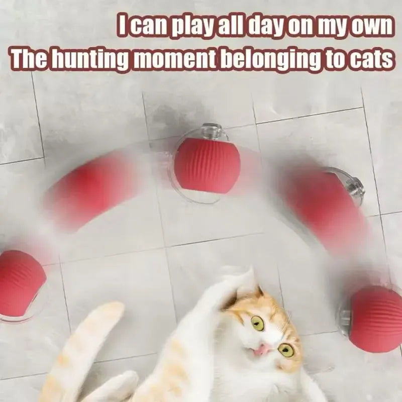 Electric Rolling Cat Ball Toy with Rope, Interactive Cat Teaser Toy