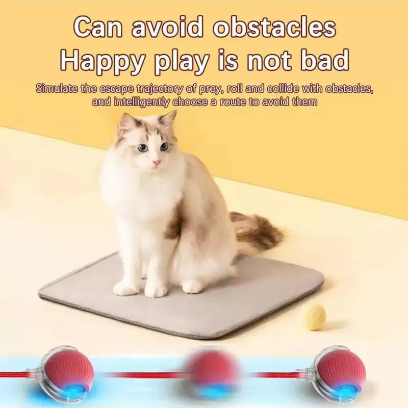 Electric Rolling Cat Ball Toy with Rope, Interactive Cat Teaser Toy